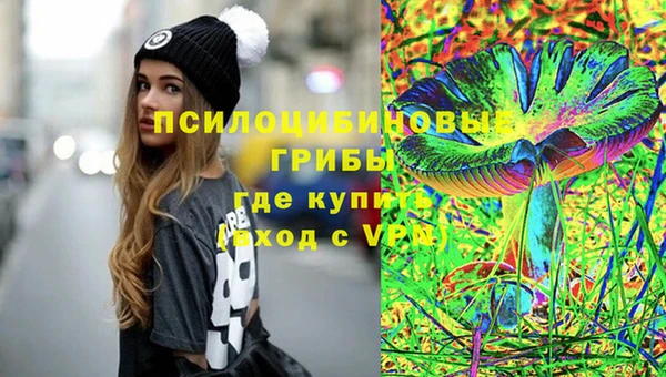 дмт Медвежьегорск