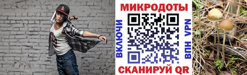 кракен ONION  дарнет шоп  Новая Усмань  Галлюциногенные грибы GOLDEN TEACHER 